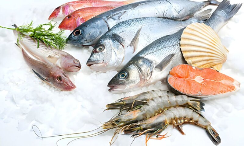 Czy łososia można mrozić?